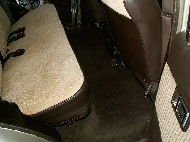 PICT0010.webp