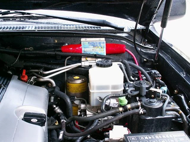 PICT0162.webp