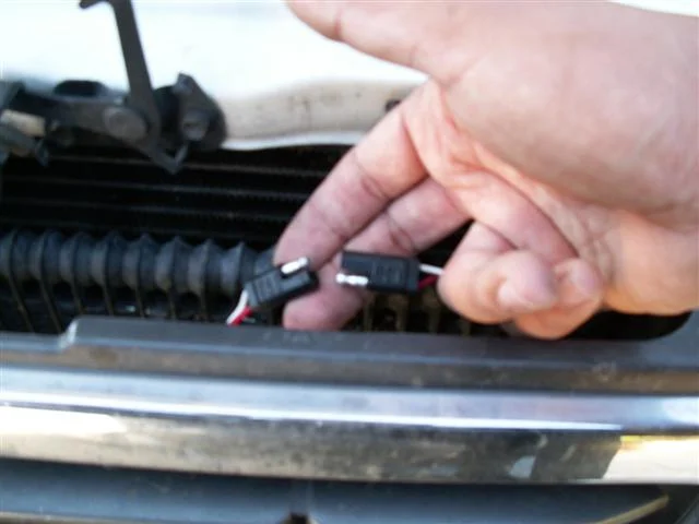 PICT0299 (Small).webp