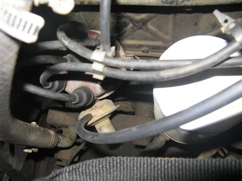 Picture 002.webp