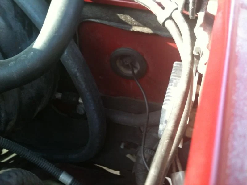 Picture 004.webp
