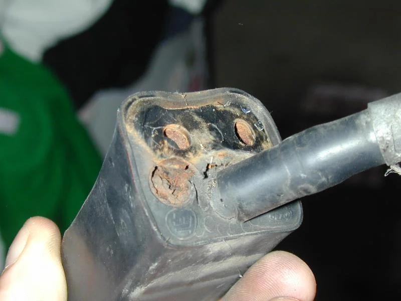 Picture 007.webp