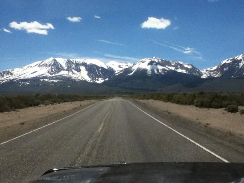 Picture 007.webp