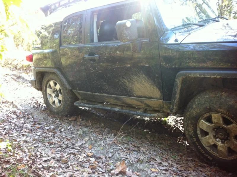 Picture 008.webp