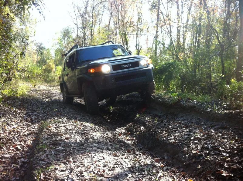 Picture 009.webp