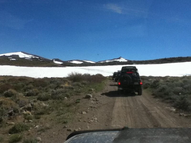 Picture 017.webp