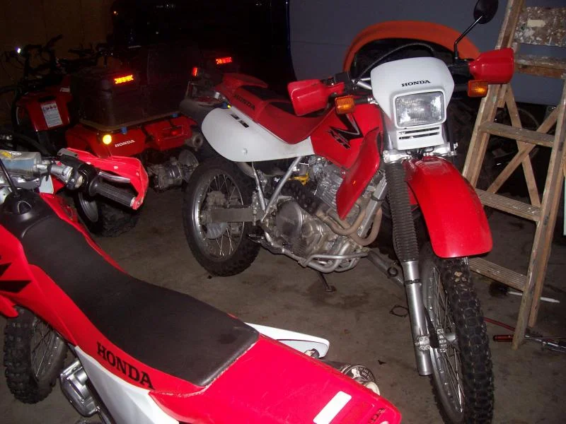 Picture 029.webp