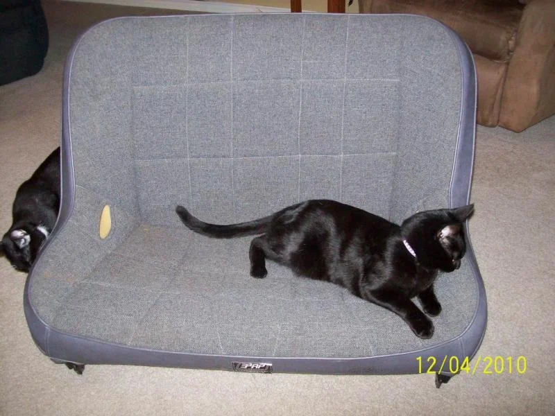 Picture 077.webp