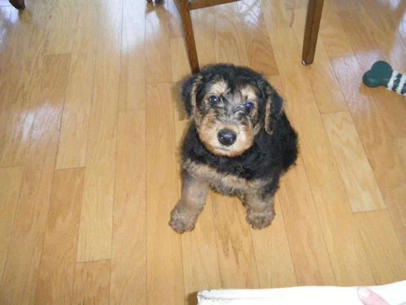 Picture 089.webp