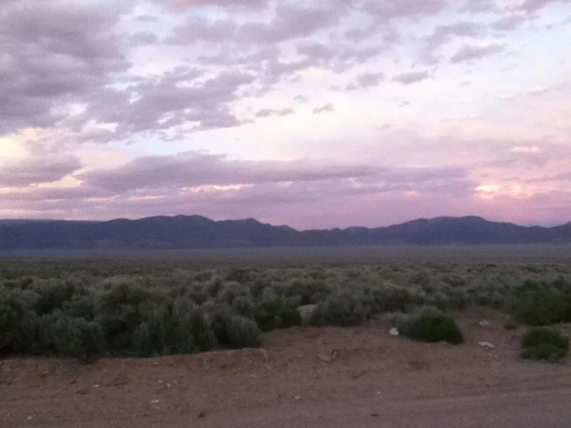 Picture 137.webp