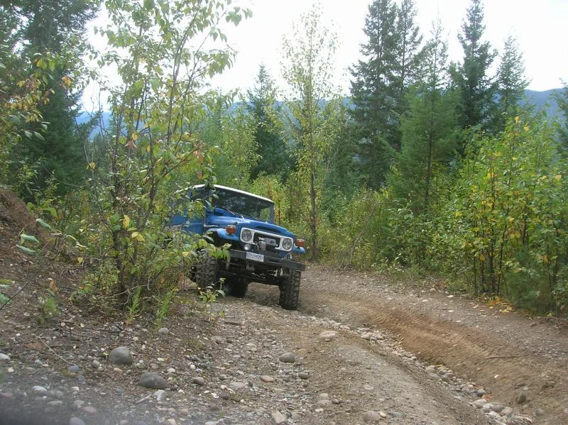 Picture 205.webp