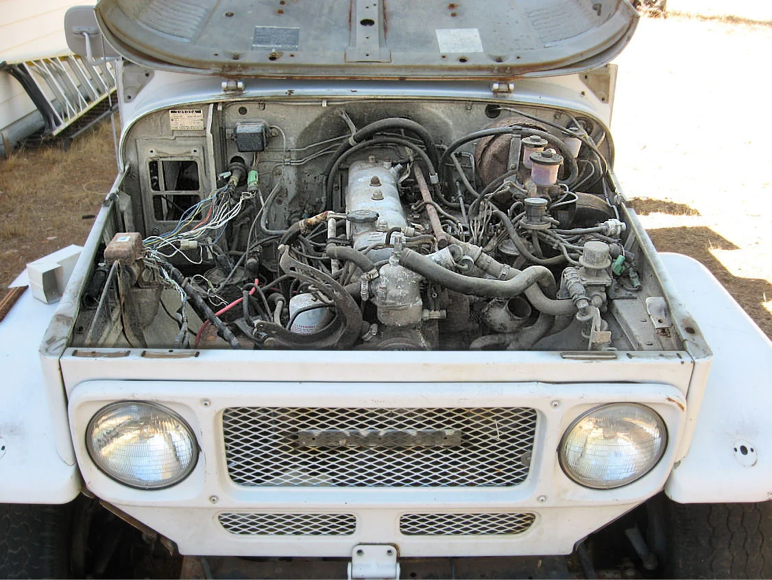 picture-4.webp