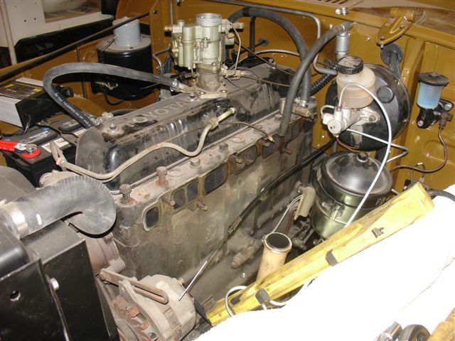 Picture 8880.jpg