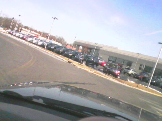 Picture053.webp