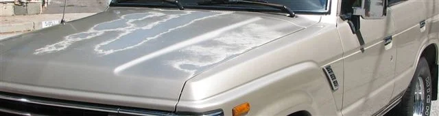 Picture1.webp