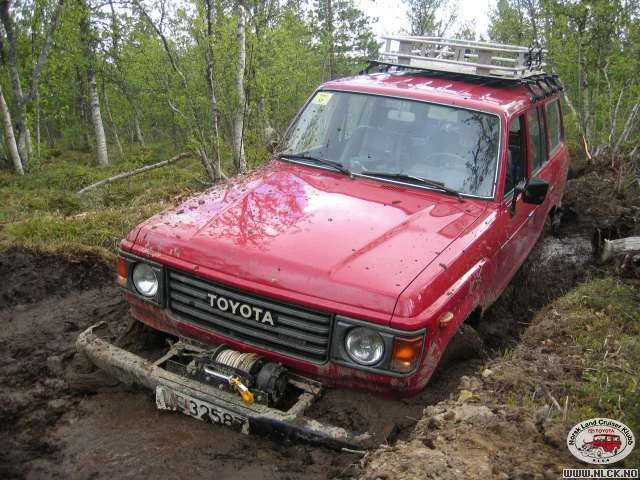 picture_054.webp