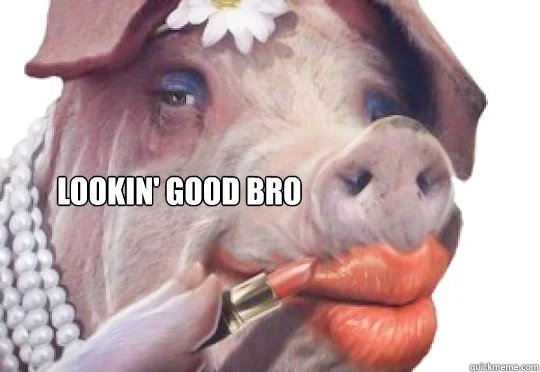 pig.webp