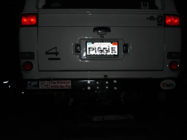 piggie.webp