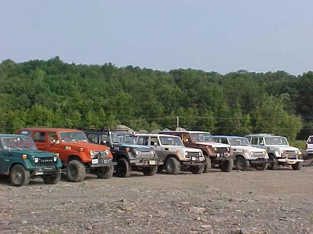 pigrun04lineup.webp