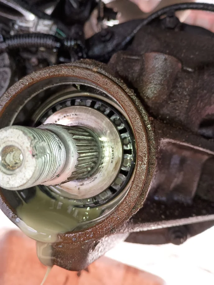 pinion_bearing.jpg