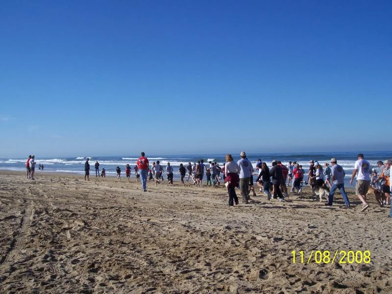 pismo 08 066.webp