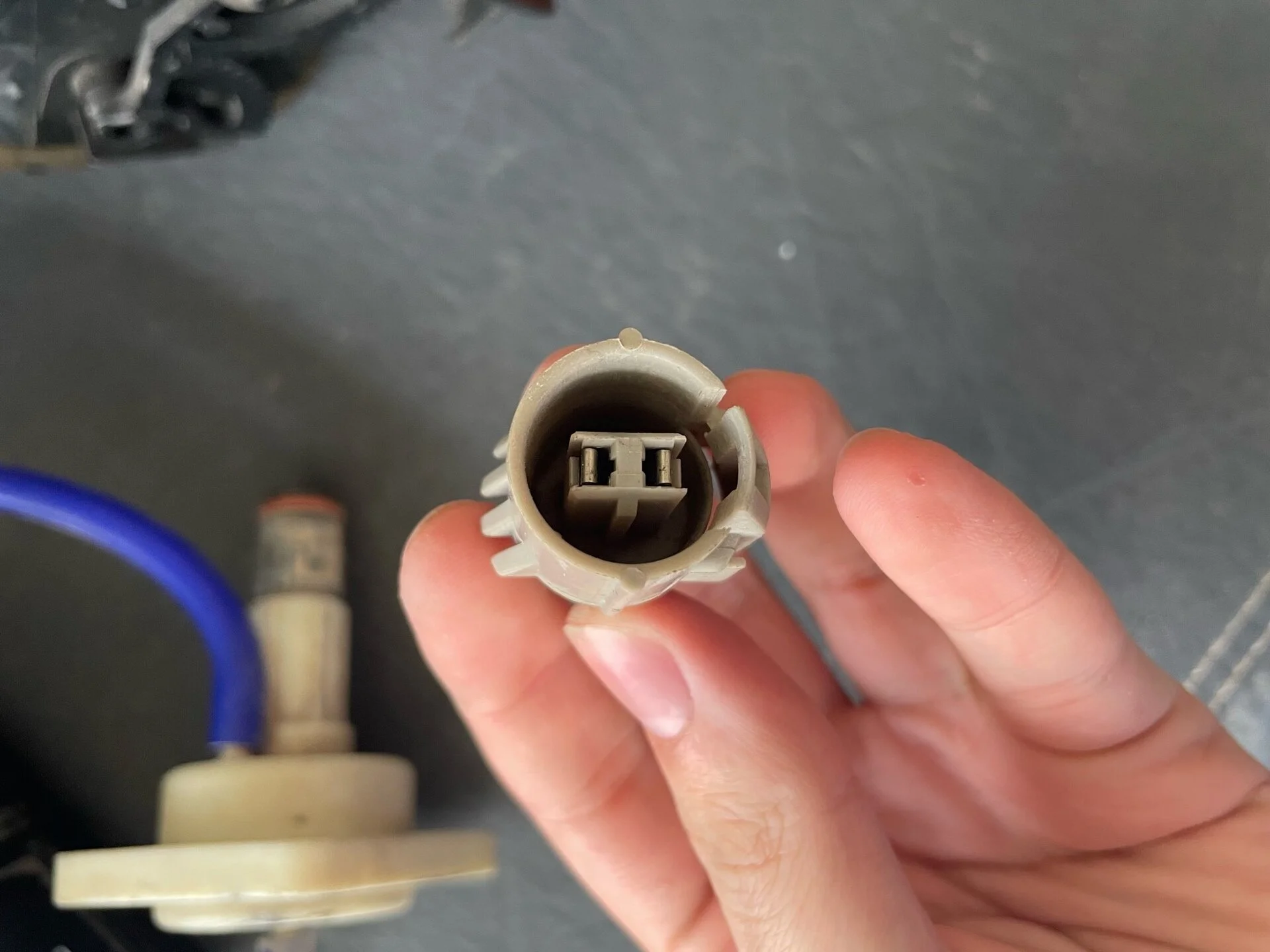 plug 2 .webp