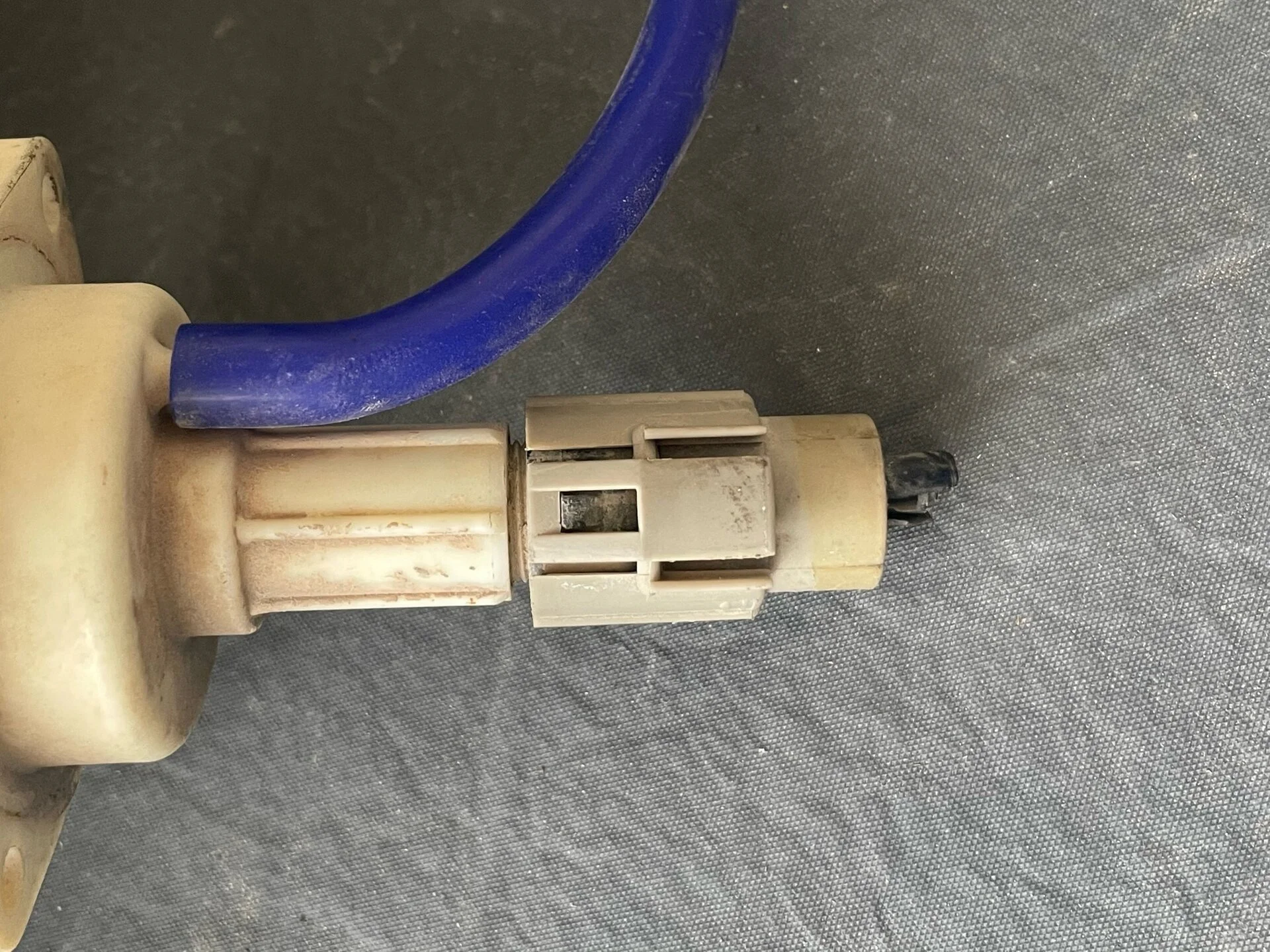 plug 3.webp