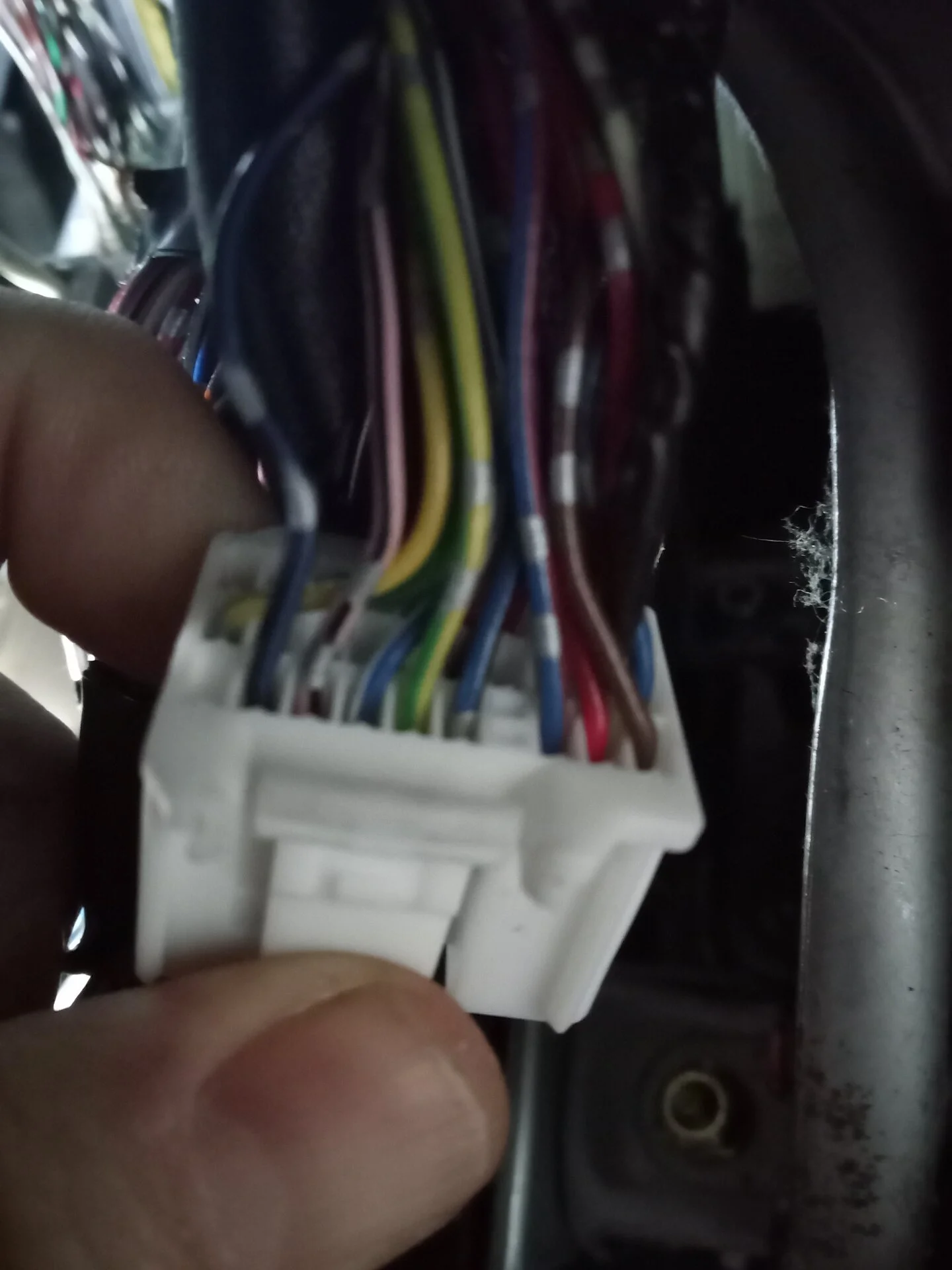 plug.webp