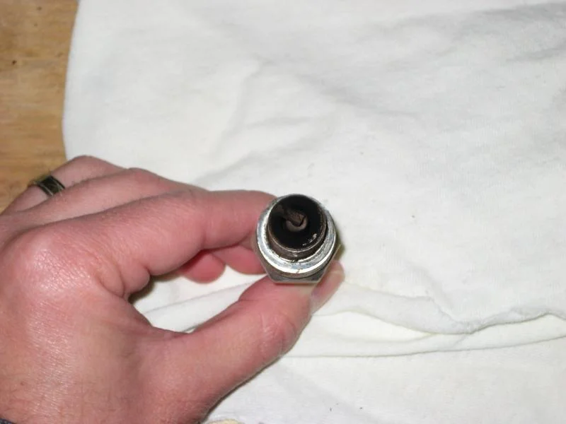 Plugs 002.webp
