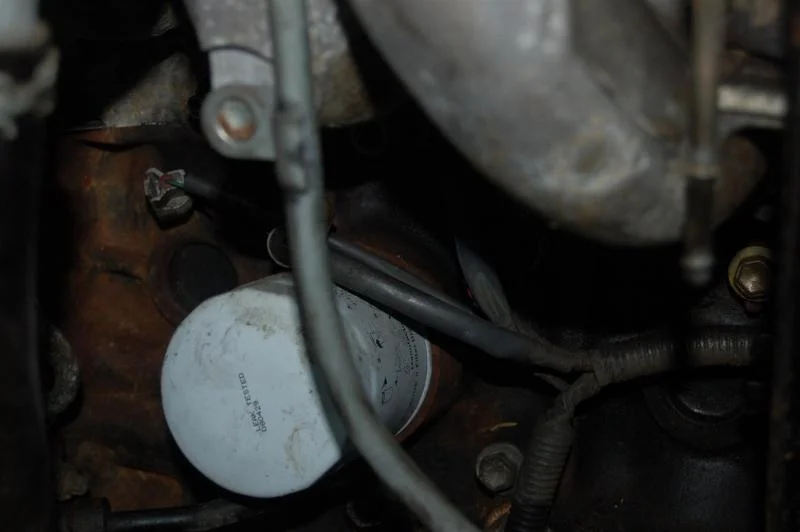 plugs 003.webp