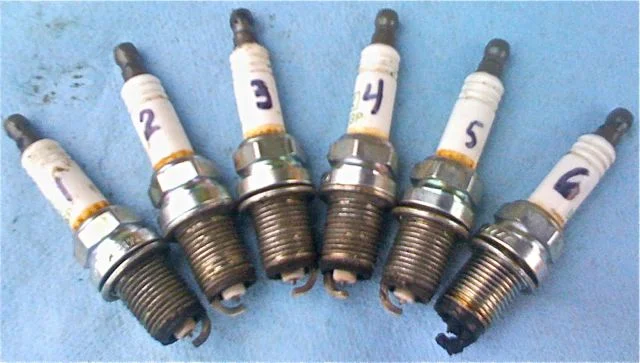 plugs.webp