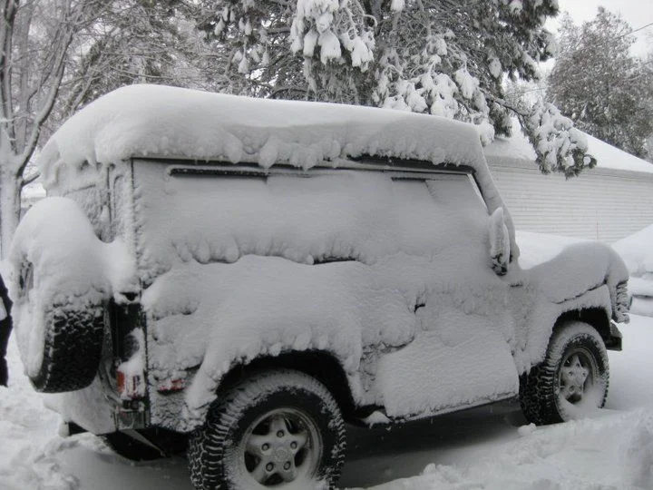POE in snow.webp