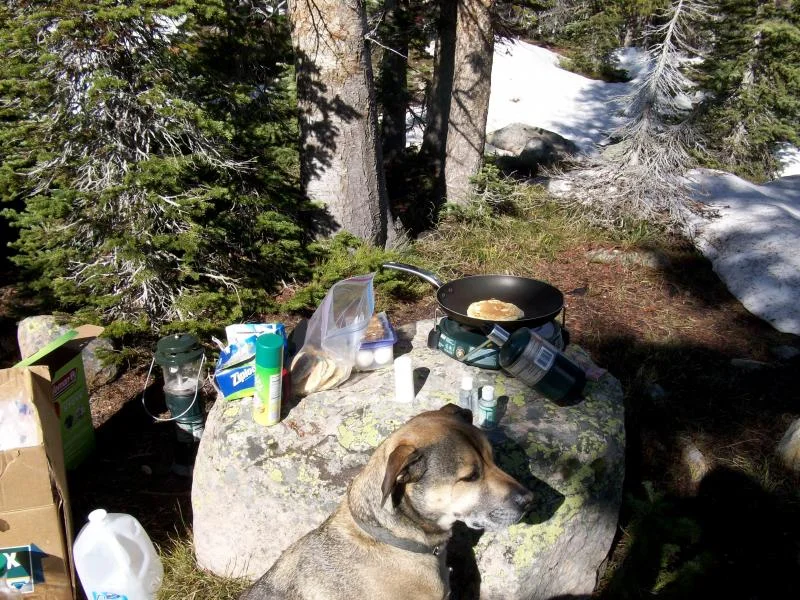 pondcamping0509 035.webp