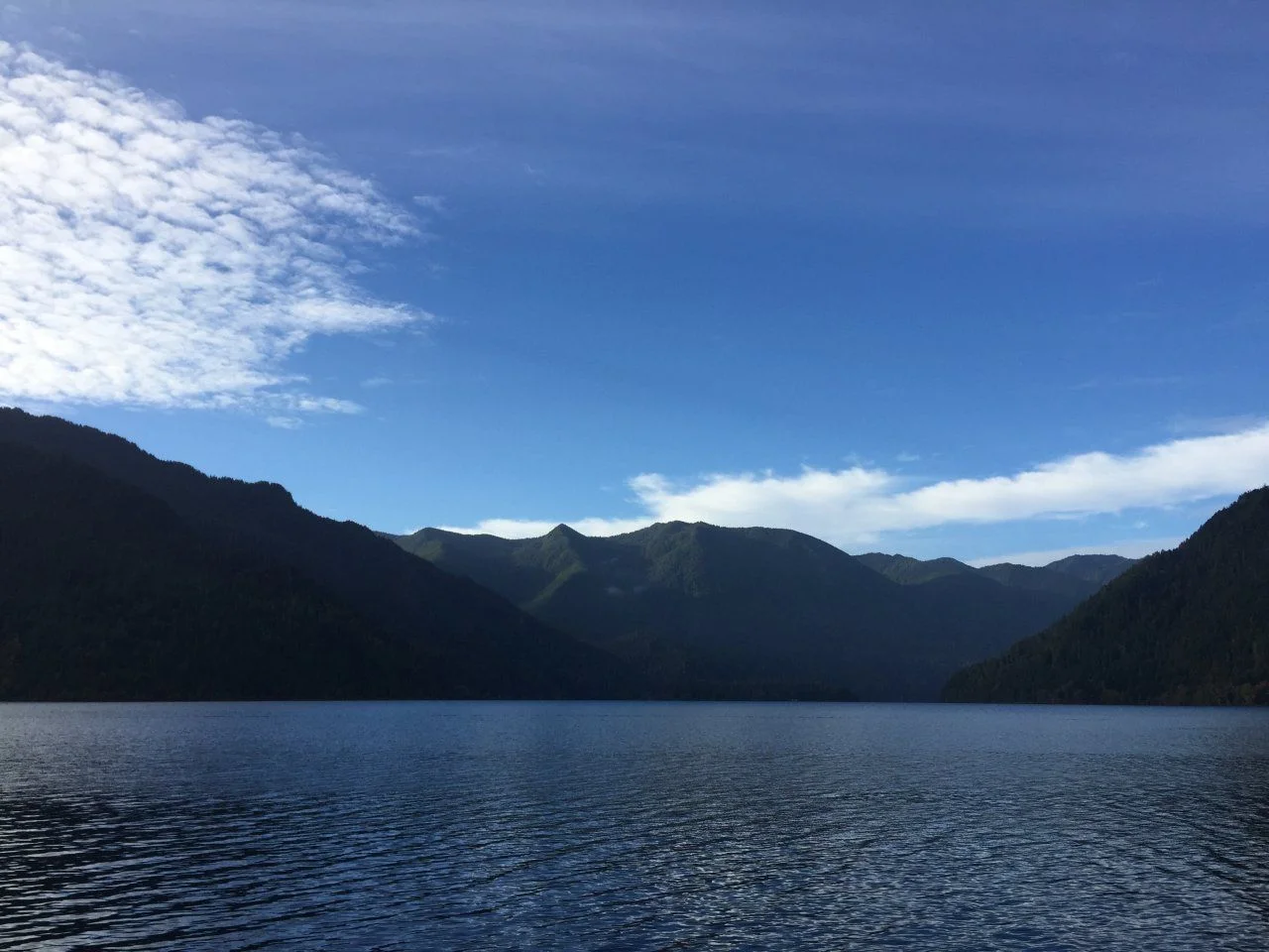 port angeles.webp