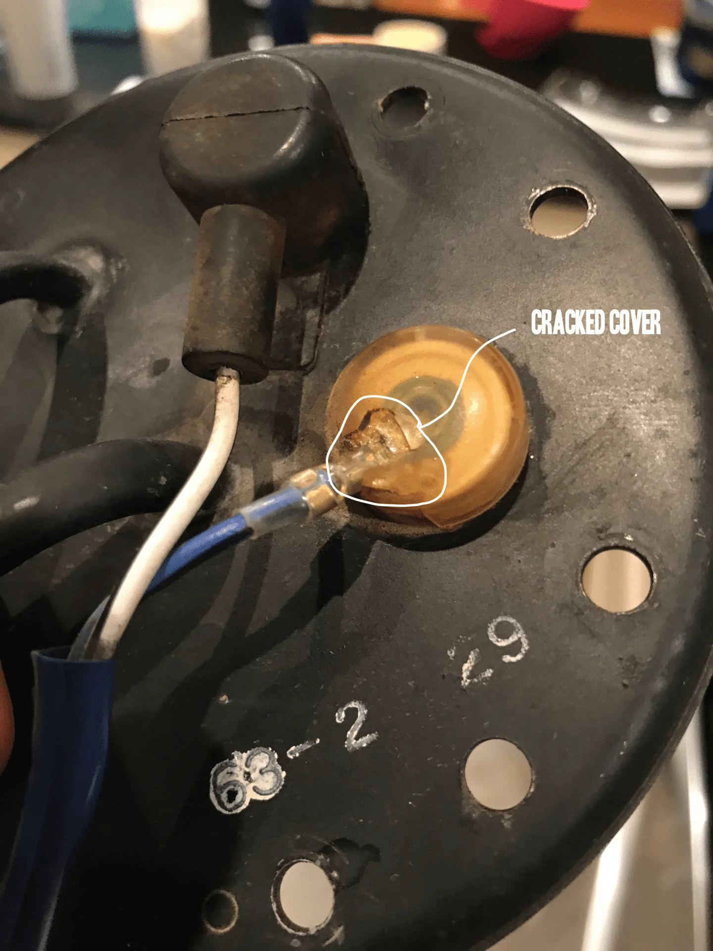 positive wire.webp