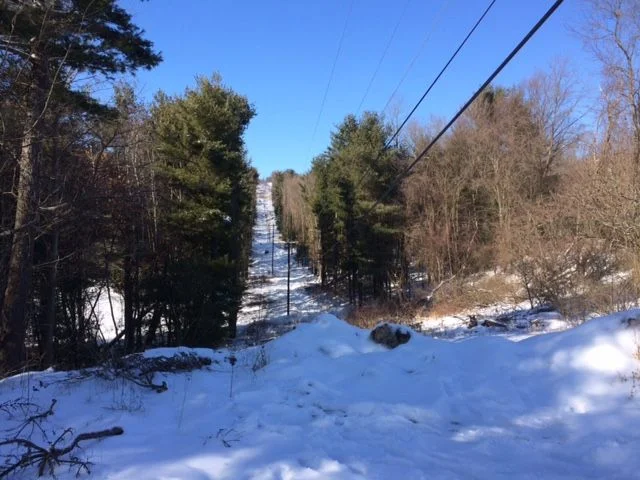 Power line in snow 2018.webp