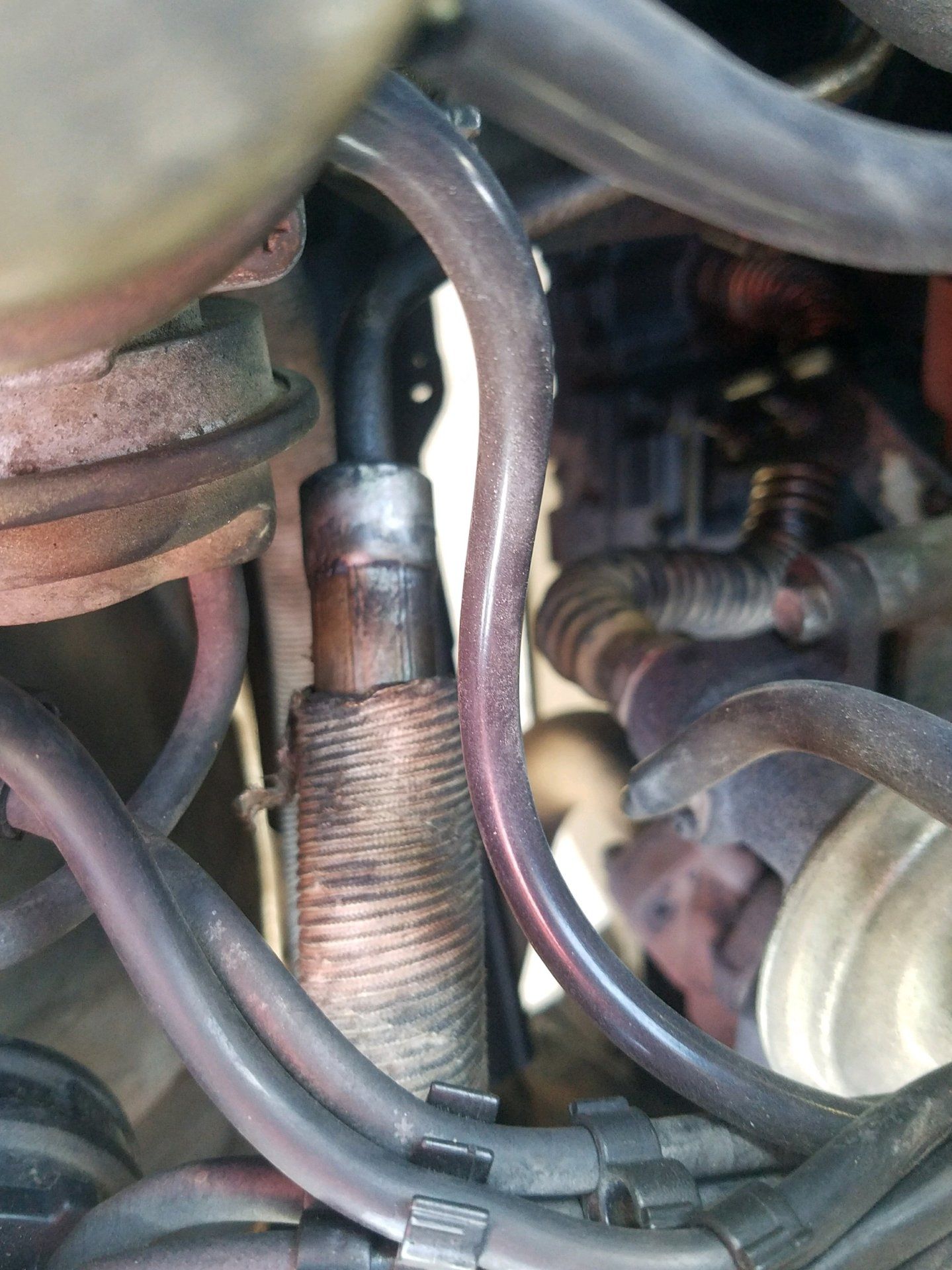 power steering line.jpg