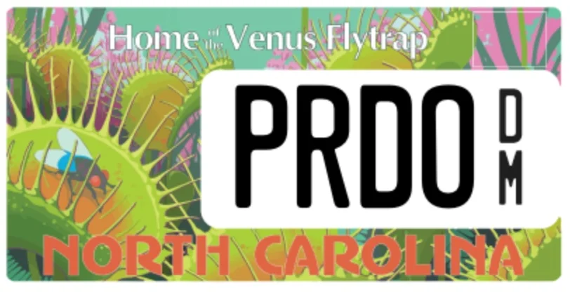 PRDO.webp