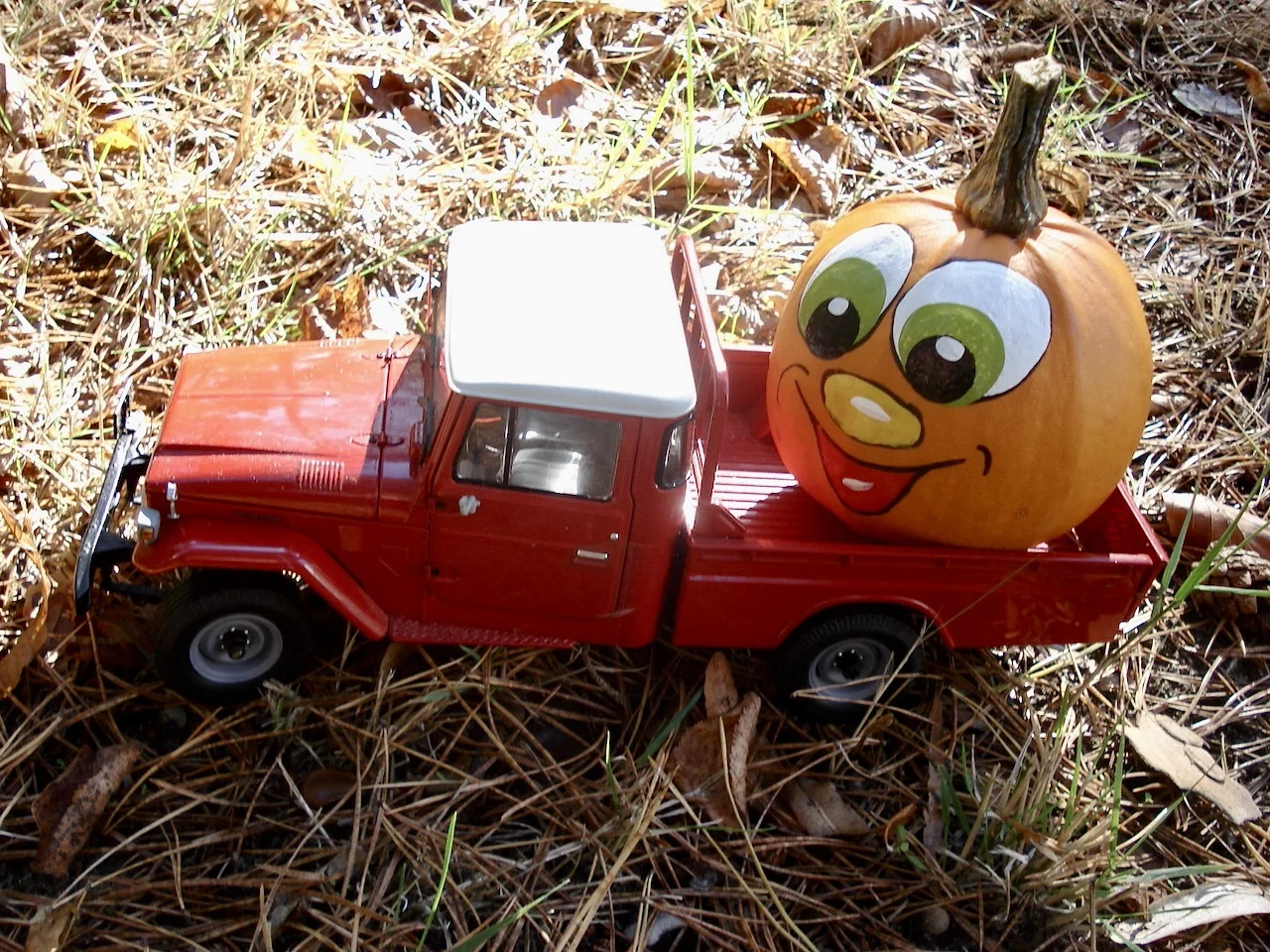 Pumpkin Season 2024.JPG