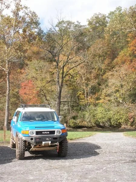 pumpkinpigrun07 005 (Medium).webp