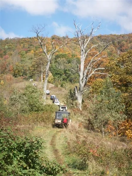 pumpkinpigrun07 018 (Medium).webp
