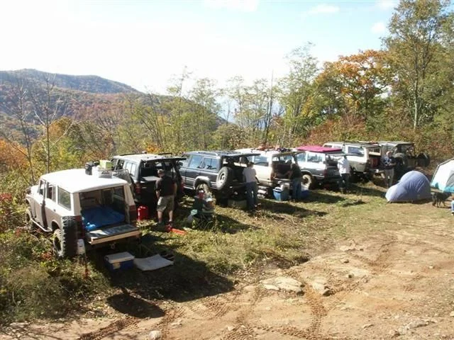 pumpkinpigrun07 028 (Medium) (Small).webp