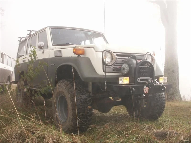 pumpkinpigrun07 032 (Medium).webp