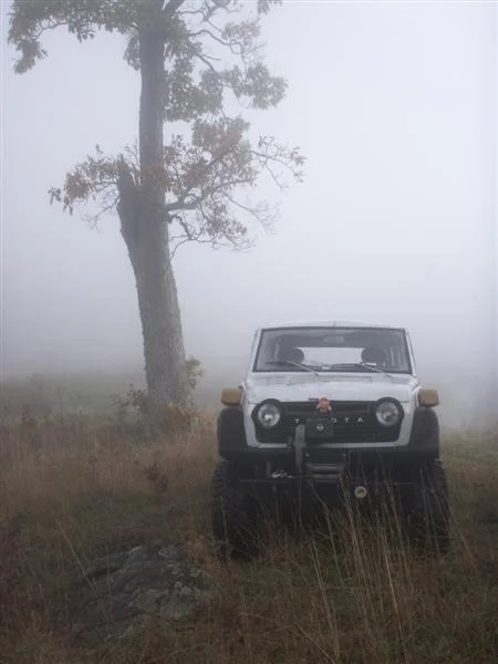 pumpkinpigrun07 033 (Medium).webp