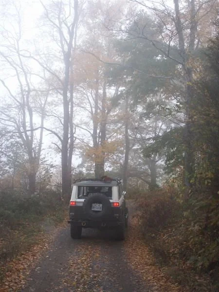 pumpkinpigrun07 044 (Medium).webp