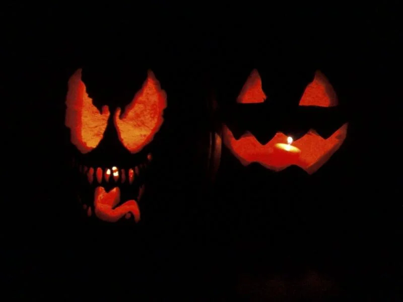 Pumpkins 2008.webp