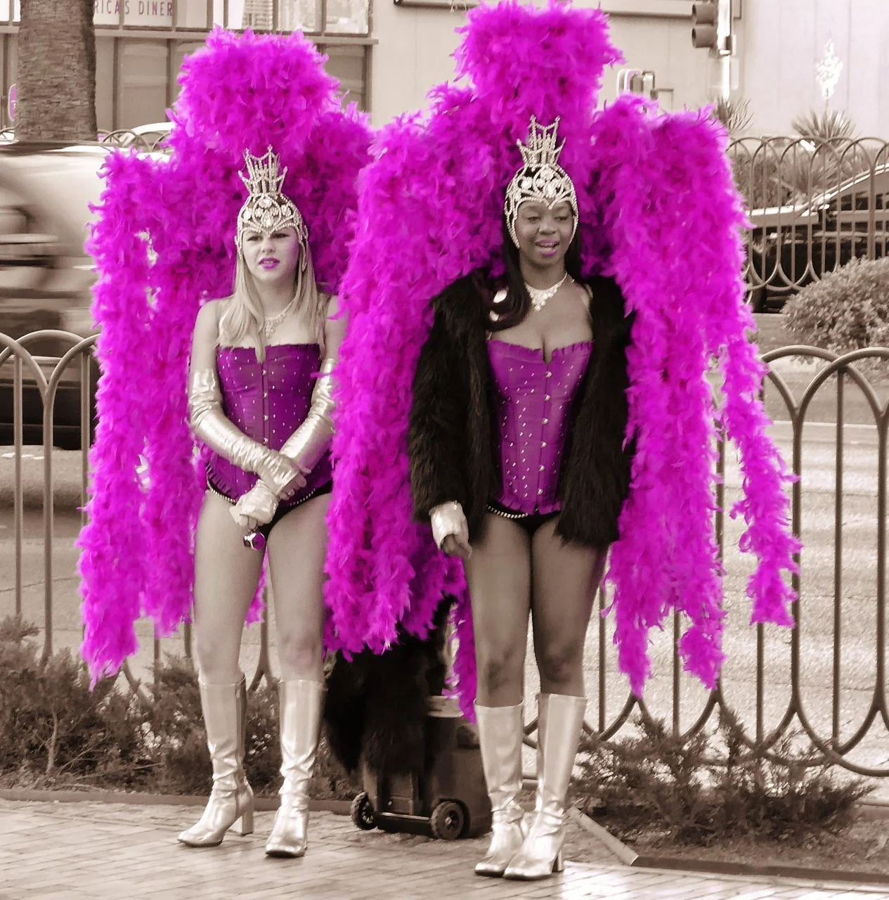 Purple (1265x1280).webp