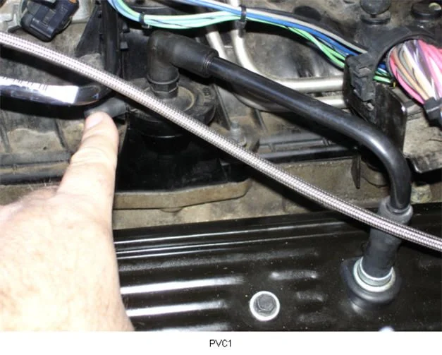 PVC1.webp