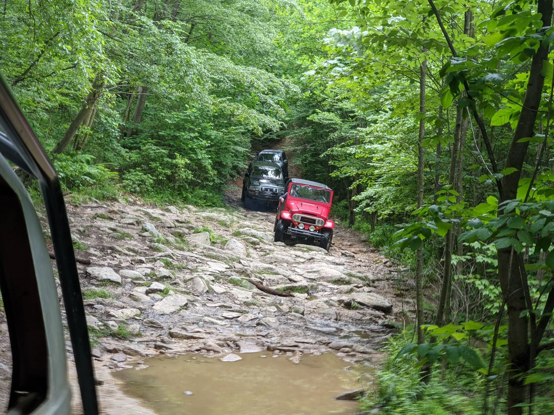 PXL_20210612_172000939.webp