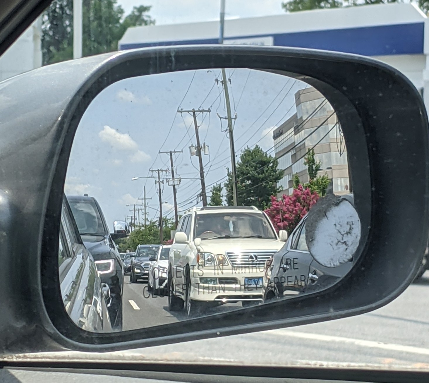 PXL_20210715_164913241.MP.jpg